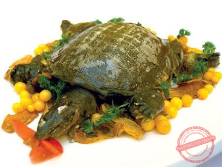 Đông trùng hạ thảo hầm ba ba giúp bổ thận tráng dương tăng cường sinh lực