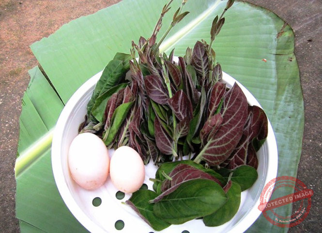 Mách mẹ cách trị tiêu chảy hiệu quả ở trẻ nhỏ bằng các bài thuốc dân gian