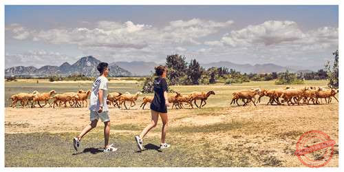 Va vào “chỗ nhạy cảm”, cặp đôi 9X nên duyên vợ chồng